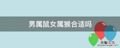 男属鼠女属猴合适吗 属猴男和属鼠女合适吗