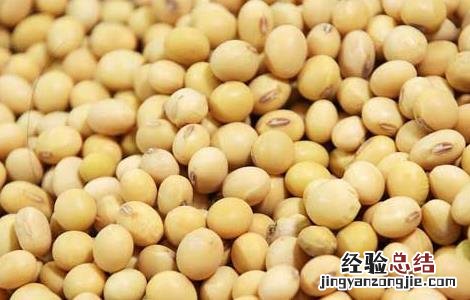 黄豆不能和什么一起吃 黄豆不能和什么一起吃香哈网手机版