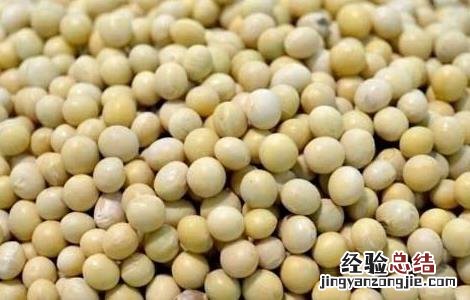 黄豆不能和什么一起吃 黄豆不能和什么一起吃香哈网手机版
