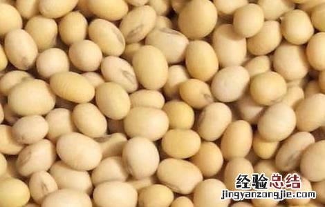 黄豆不能和什么一起吃 黄豆不能和什么一起吃香哈网手机版