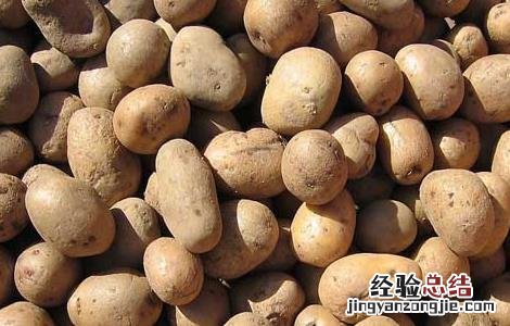 早餐土豆和鸡蛋能一起吃吗 土豆和鸡蛋能一起吃吗