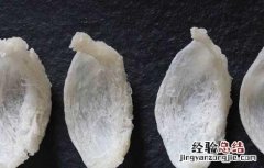 小孩可以吃燕窝吗 五岁小孩可以吃燕窝吗