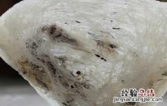 吃燕窝有什么禁忌 吃燕窝有什么禁忌和副作用