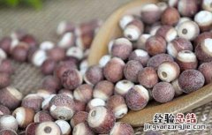 芡实和什么不能一起吃香哈 芡实和什么不能一起吃