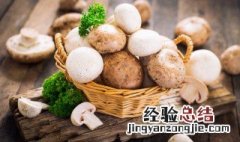 炒蘑菇需要用热水烫一下吗 蘑菇炒前需要热水焯吗