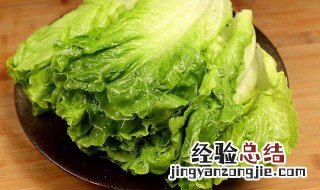 生菜的功效与作用 生菜的功效与作用禁忌