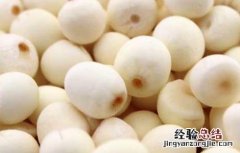 孕妇可以吃芡实吗中期 孕妇可以吃芡实吗