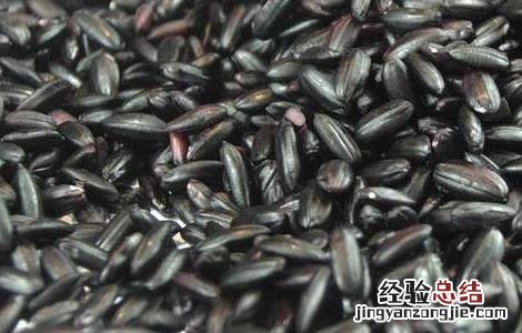 吃黑米必知的六大禁忌 吃黑米好不