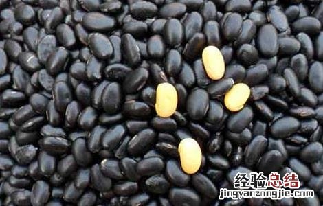 醋泡黑豆什么人不能吃 什么人不能吃醋泡黑豆的功效与作用