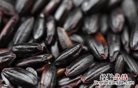 黑米不能和什么一起吃/同吃 黑米不能和什么一起吃