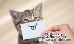 微信状态文案搞笑加配图 微信状态文案搞笑