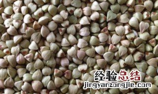 荞麦米的功效与作用及营养价值 荞麦米的功效与作用