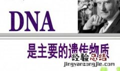 噬菌体侵染细菌实验是谁做的 噬菌体侵染细菌实验介绍