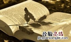 沉淀在语文上的意思 沉淀解释