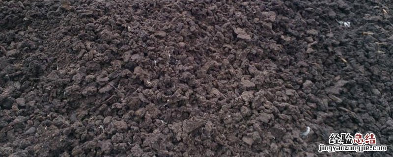 生物肥能代替肥肥吗 生物肥料能代替化肥吗