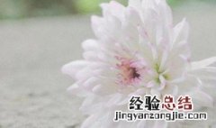 搞笑句子说说心情短语 搞笑句子说说心情