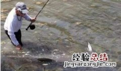 鱼镖射鱼瞄点图解 鱼镖射鱼瞄点技巧