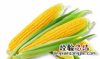 甘肃种植玉米的优势条件 甘肃种植玉米的优势