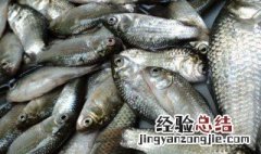 串钩的钩距是多少串钩怎么绑 串钩每个钩的距离是多少