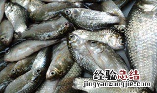 串钩的钩距是多少串钩怎么绑 串钩每个钩的距离是多少