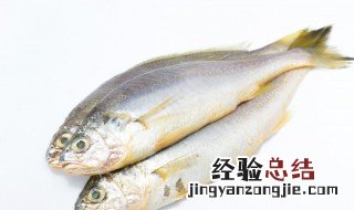 怎样做鲤鱼好吃又简单方便视频 怎样做鲤鱼好吃又简单方便