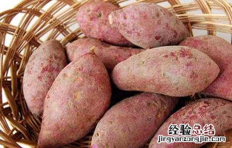 红薯和柿子能一起吃吗会中毒吗 红薯和柿子能一起吃吗