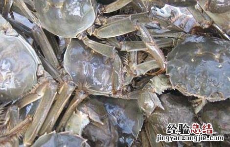 螃蟹和红薯能一起吃吗? 螃蟹和红薯能一起吃吗