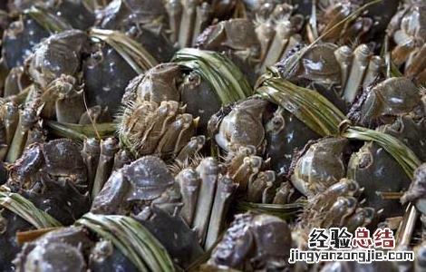 螃蟹和红薯能一起吃吗? 螃蟹和红薯能一起吃吗