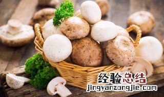 野生蘑菇能和酸奶一起吃吗 野生蘑菇能和酸奶一起吃吗宝宝