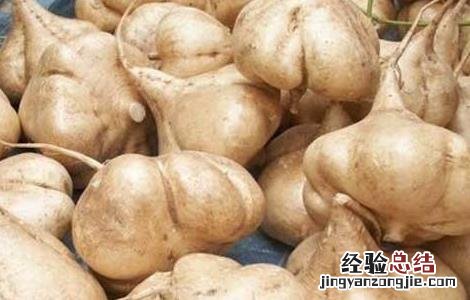 地瓜不能和什么一起吃辅食 地瓜不能和什么一起吃