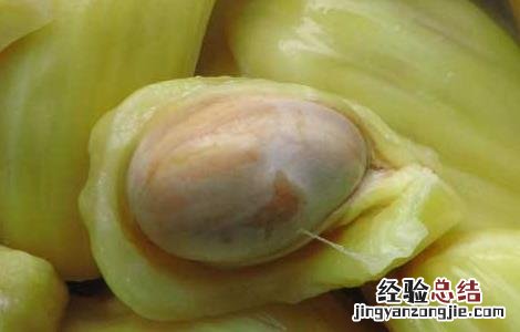 孕妇可以吃菠萝蜜吗 孕妇可以吃菠萝蜜吗对胎儿有影响吗