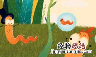 蚯蚓干些什么可以吃 蚯蚓干些什么