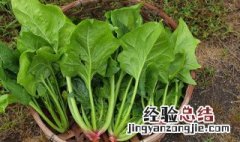 菠菜面条怎么做 菠菜炒粉条的做法
