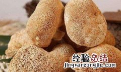 猴头菇食用有哪些禁忌 猴头菇有什么禁忌