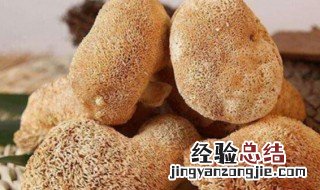 猴头菇食用有哪些禁忌 猴头菇有什么禁忌