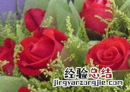 玫瑰花摘下来怎么保存 玫瑰花摘下来怎么保存最好