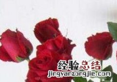 摘下来的花怎样保存时间长 摘下来的花怎样保存