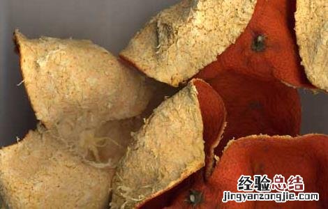 孕妇能吃陈皮吗 孕妇能吃陈皮吗 初期