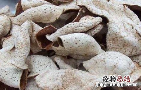 孕妇能吃陈皮吗 孕妇能吃陈皮吗 初期