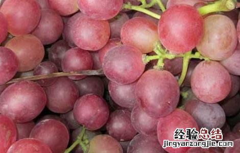 急性肾炎可以吃提子吗 肾炎能吃提子吗