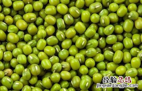 绿豆不能和什么一起吃 红豆绿豆不能和什么一起吃