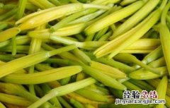 黄花菜有哪些禁忌 黄花菜有哪些禁忌