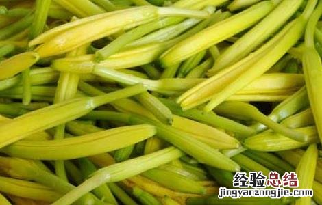 黄花菜有哪些禁忌 黄花菜有哪些禁忌