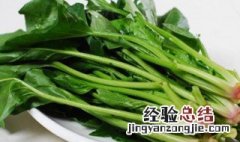菠菜不宜和哪些菜一起吃 菠菜与什么菜相克