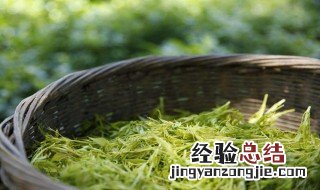 莓茶的功效与作用 大家不妨去喝喝