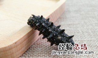 海参里面白色的筋可以吃吗 海参里面的白色的筋能吃吗