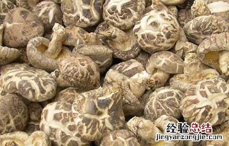 孕妇可以吃香菇吗中期 孕妇可以吃香菇吗