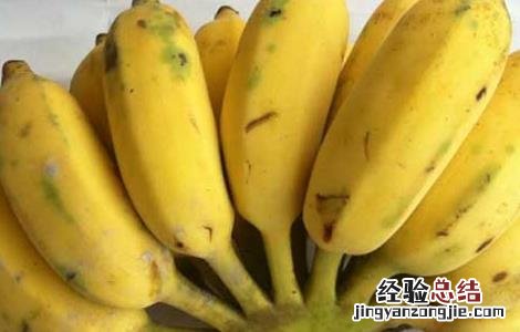 孕妇能吃芭蕉吗早期 孕妇能吃芭蕉吗
