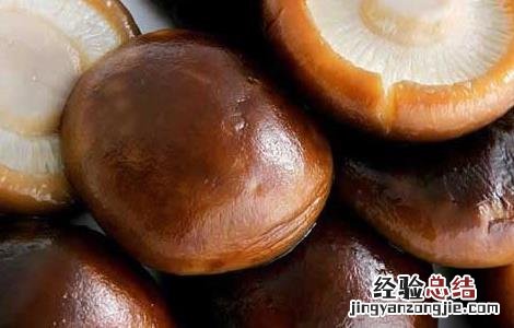 肾炎能吃香菇吗百度百科 肾炎能吃香菇吗