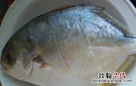 孕妇能吃鲳鱼吗 孕妇能吃鲳鱼吗中期